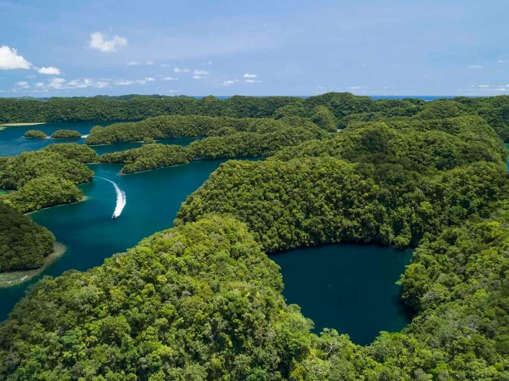 Marine lakes and rock islands aerial photography in palau