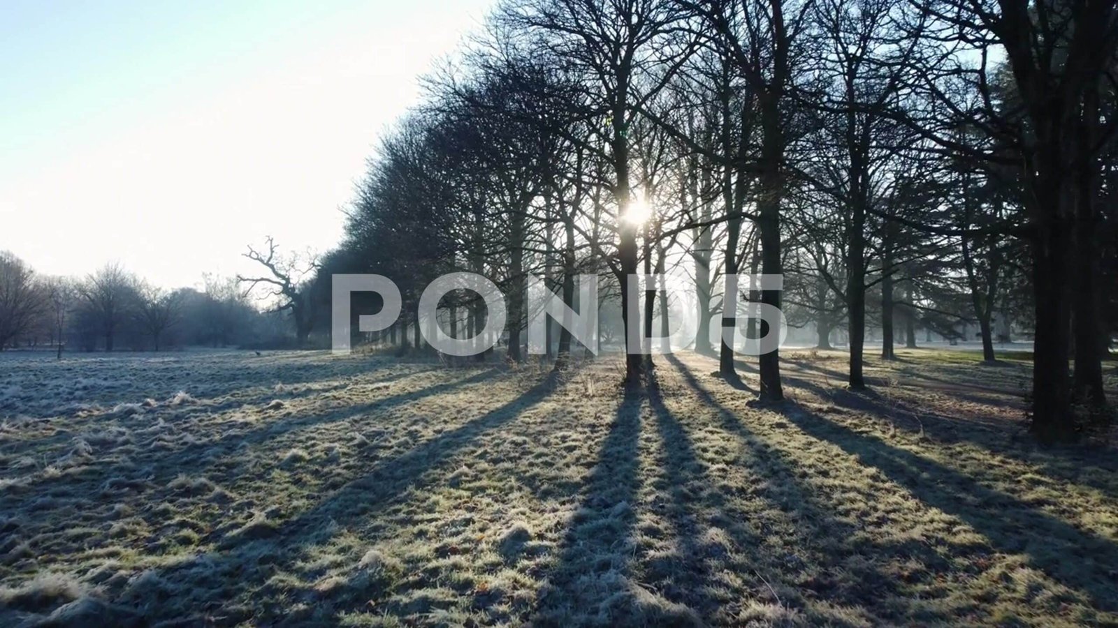 Travelling Shot Over Towards Trees Backlit By Low Sun On Winter Morning