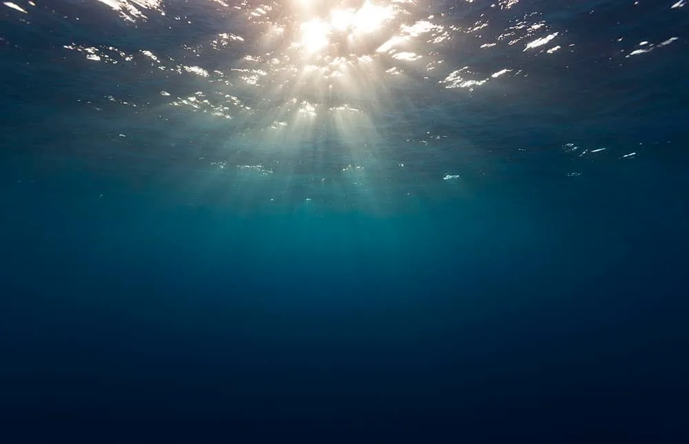 Underwater scene with sunlight